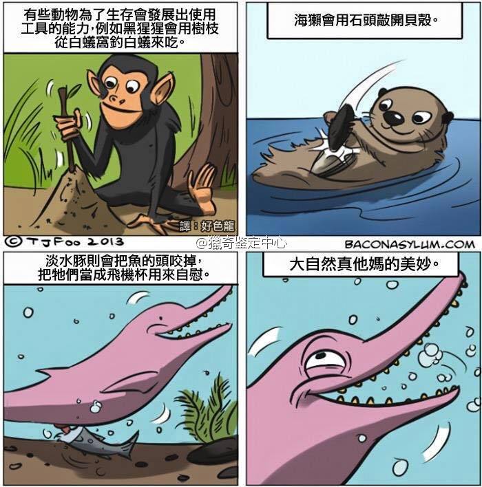 周二搞笑內(nèi)涵圖 同學(xué)你可能需要去污粉