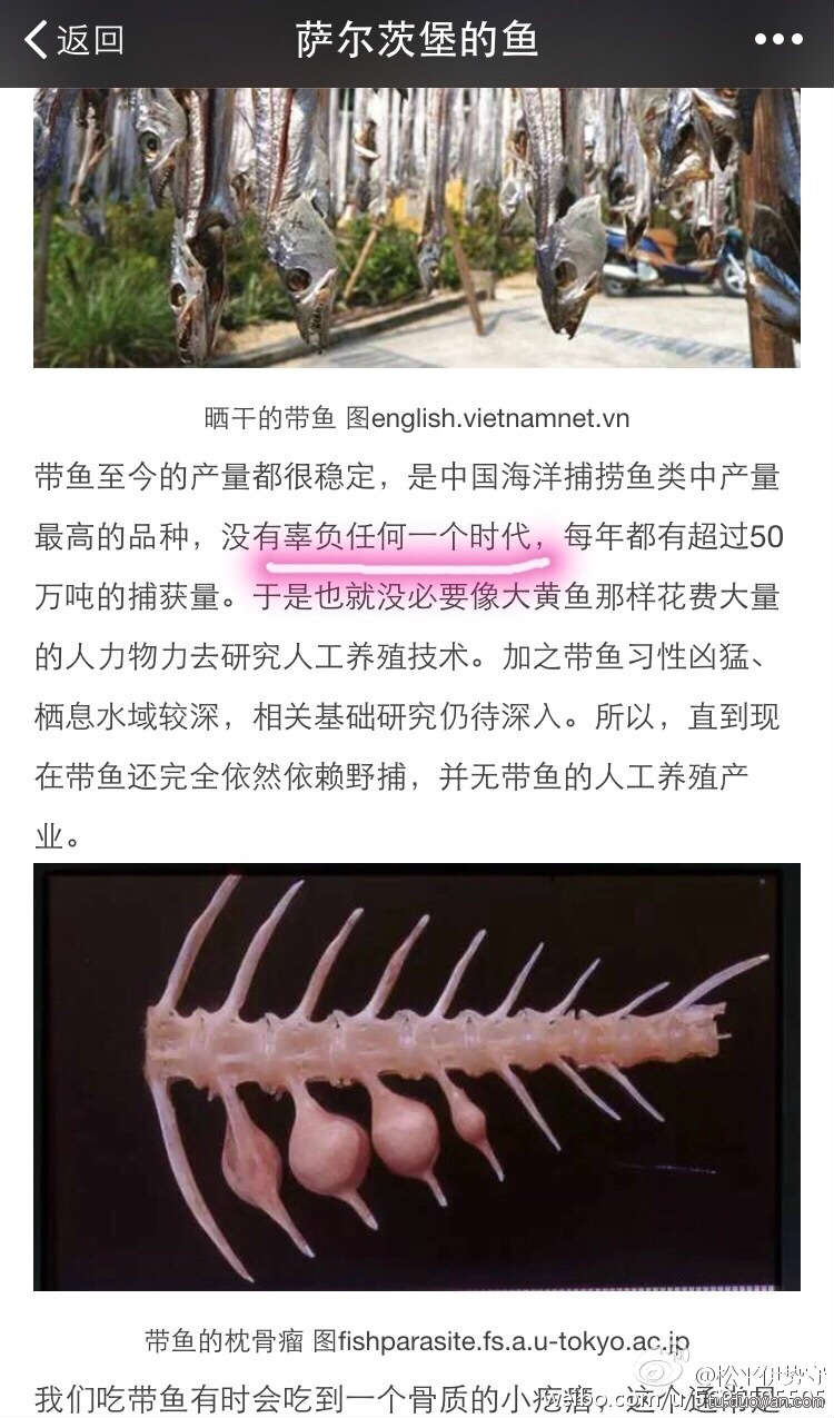 周五搞笑内涵图 单身狗的周末也能非常愉快 才怪