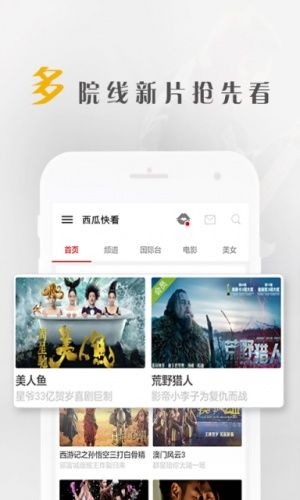 西瓜快看v4.4截图4