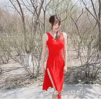 lol女主播樱花下跳钢管舞 超透红衣妩媚撩人图