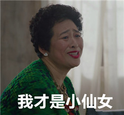 我的前半生薛甄珠女士表情包带字完整版