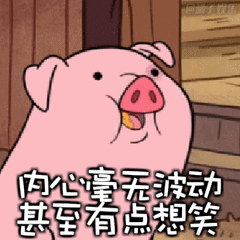 猪吃西瓜表情包完整版 高清版