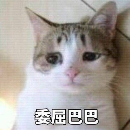 委屈巴巴猫表情包下载