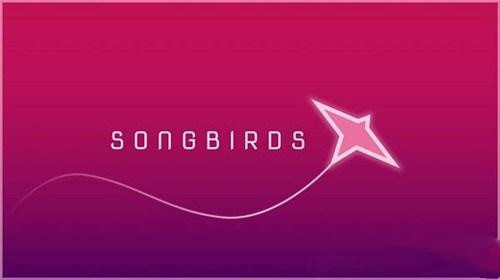 Songbirds手游正式版截图1