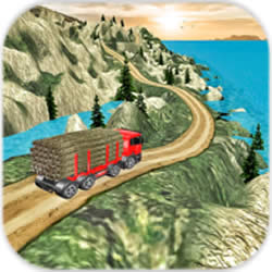 欧洲卡车司机驾驶模拟(Real Euro Cargo Truck Drive Simulator)iOS版