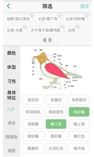 鸟类识别app截图2
