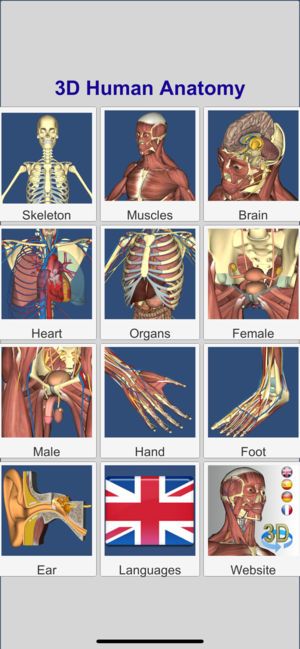 3D解剖(3D Anatomy)截图2