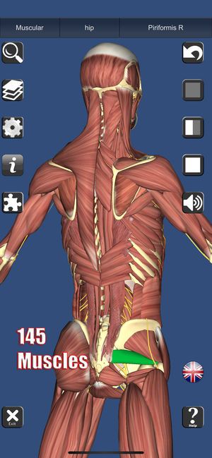 3D解剖(3D Anatomy)截图5