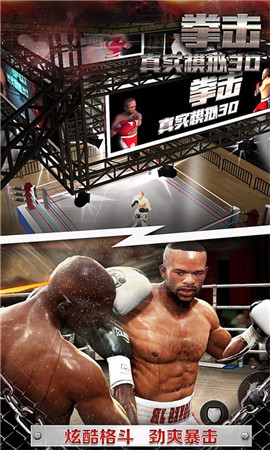 拳击真实模拟3D安卓版截图2