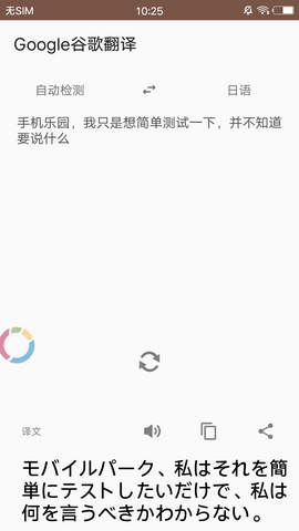 谷歌翻译Lite手机版截图2