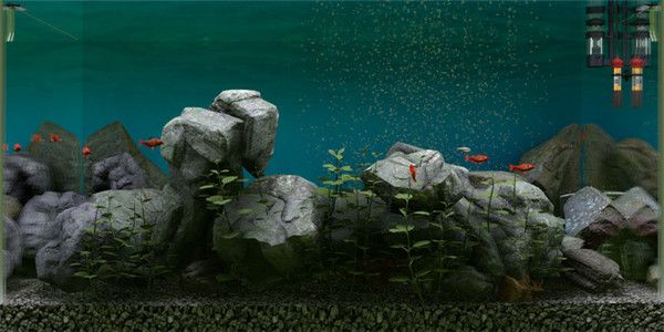 鱼缸模拟器截图2