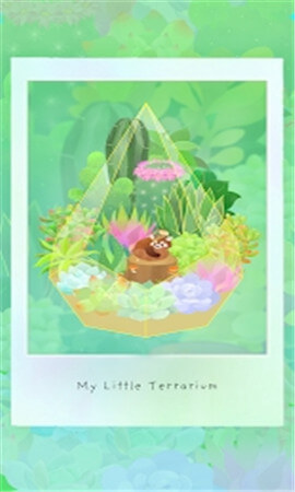 My Little Terrarium截图4