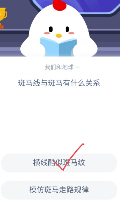 蚂蚁庄园今日答案 斑马线与斑马有什么关系