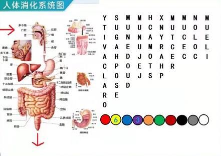 犯罪大师密室逃脱答案是什么 犯罪大师8月1日密室逃脱答案详情