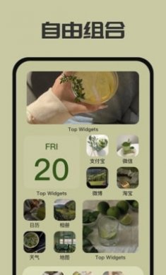 元气主题小组件