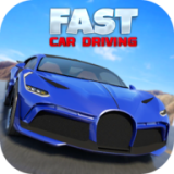 快速汽车驾驶(Fast Car Driving)