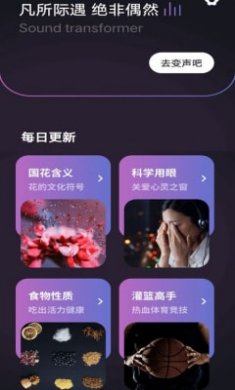 开黑聊天变声器