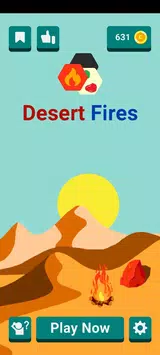 沙漠大火