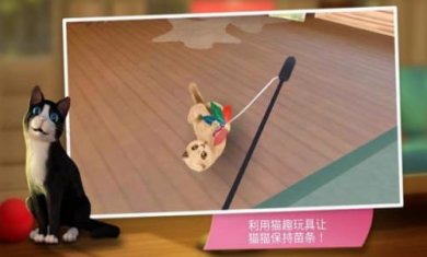 猫咪旅店领红包版