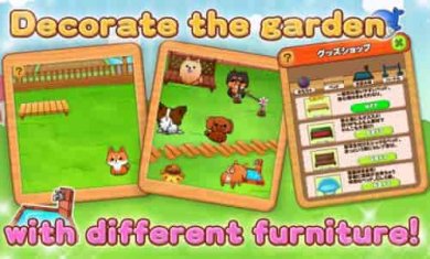 可爱的狗的生活