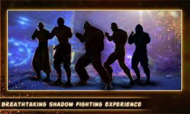 致命暗影格斗DeadlyShadowFight:ShadowFighting