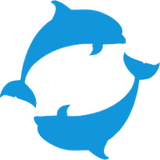 海豚视频app