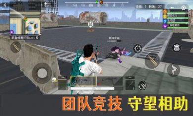 荒野吃鸡精英游戏