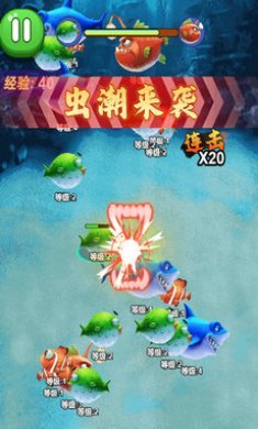 神龙吞噬无敌游戏