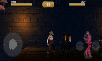 汤姆武士VS忍者TomVsSquidGameFIght3D