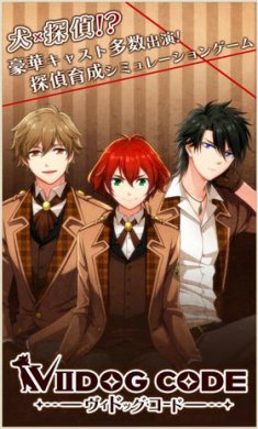Viidog Code