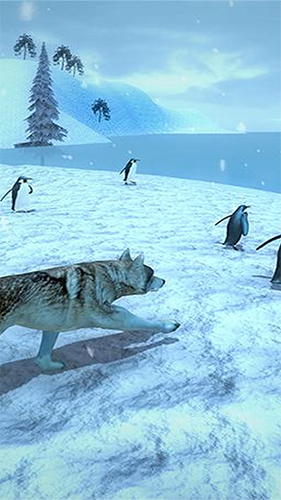 北极狼模拟器截图2