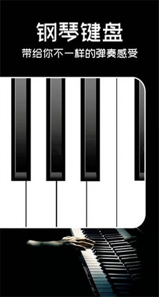 Piano手机钢琴截图2