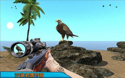 沙漠鳥類狙擊手Desert Birds Sniper Hunter