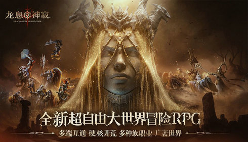 龙息神寂(DragonheirSilentGods)截图4