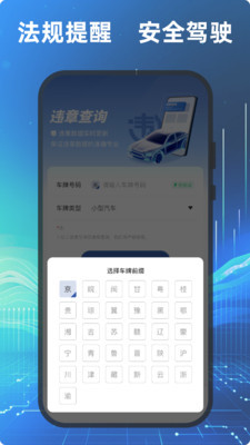 车管违章查询截图4