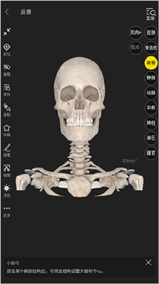 掌上3D解剖