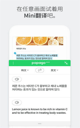 Papago中韩翻译器截图1