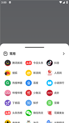 KK浏览器截图3