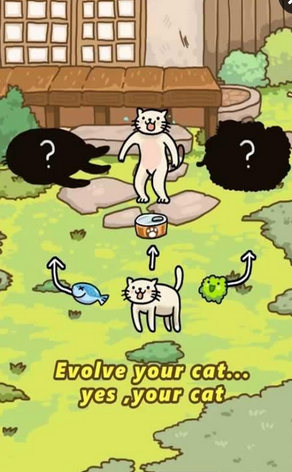 猫的进化世界截图2