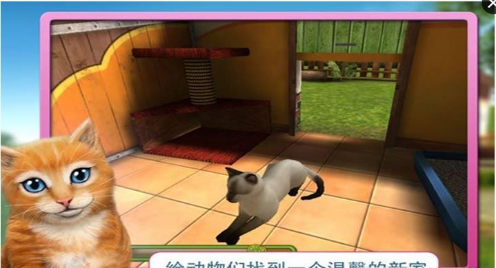宠物世界3D：我的动物救援所截图4