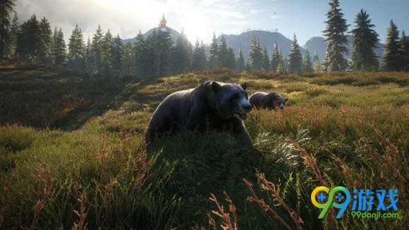 猎人野性的呼唤拍摄两只熊任务技巧分享