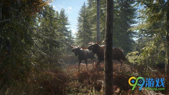 猎人野性的呼唤拍照技巧分享 游戏怎么拍照