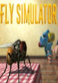Fly Simulator中文版