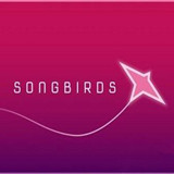 Songbirds手游中文版