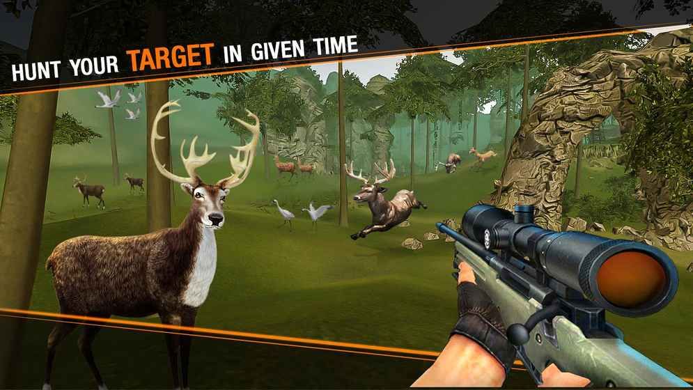 鹿野生动物狩猎狙击手(Deer Hunting Sniper Safari - Animals Hunt)安卓版截图1