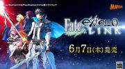 Fate/EXTELLA LINK限定版特典有哪些 fate extella link特典