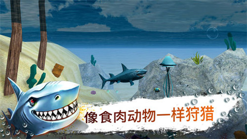 鲨鱼模拟器3D破解版