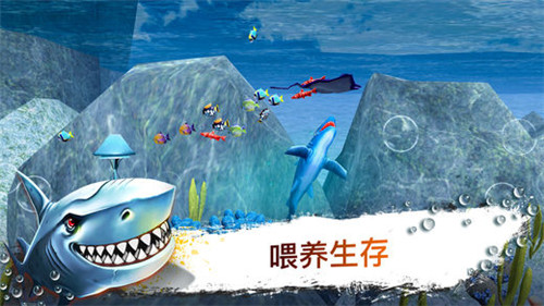 鲨鱼模拟器3D破解版截图1