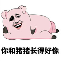 金馆长系列猪猪表情包完整版