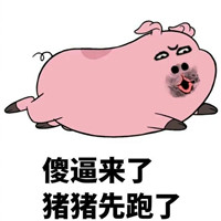 金馆长系列猪猪表情包完整版